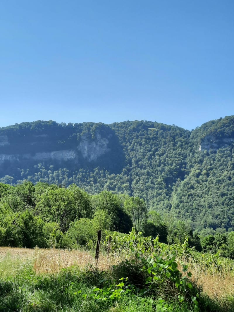 Torcieu 1 - Torcieu