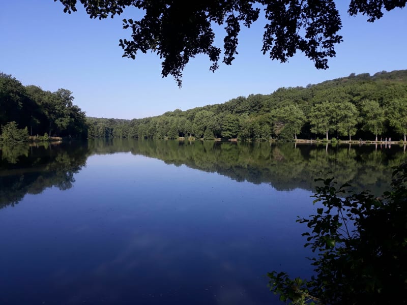 Sentier des 3 lacs - Bulgnéville