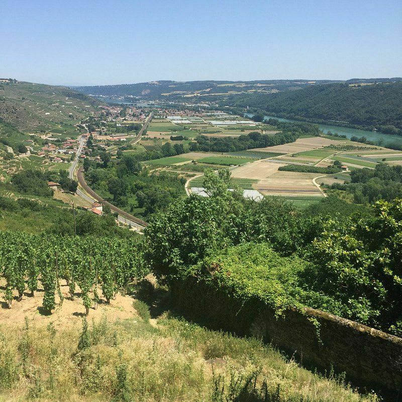 Entre eau et vin - Tupin-et-Semons