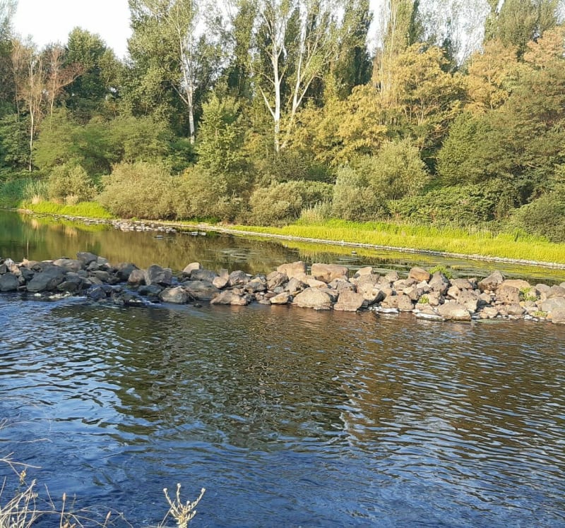Bord de Loire - Saint-Cyprien