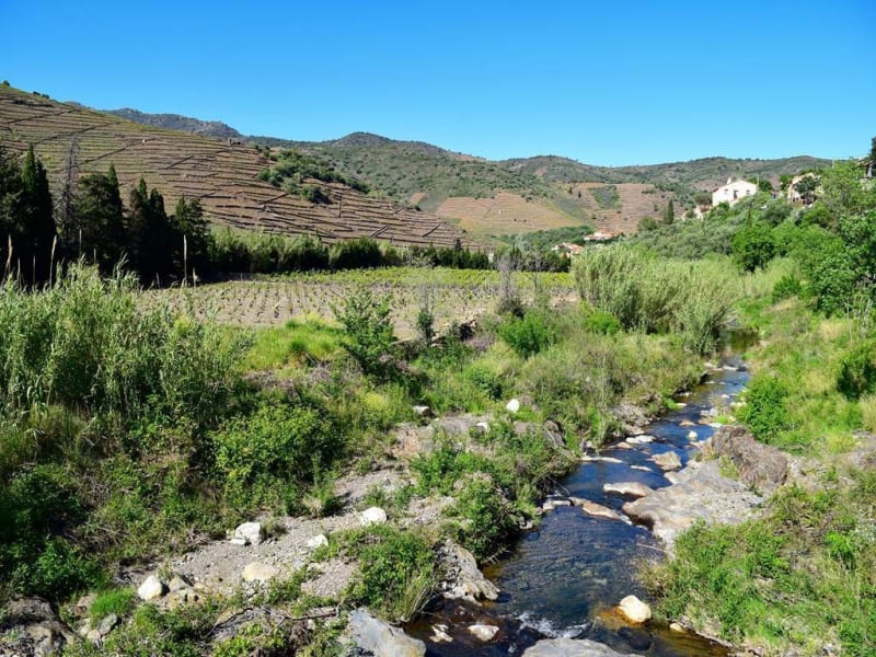De Col de Banyuls - Banyuls-sur-Mer