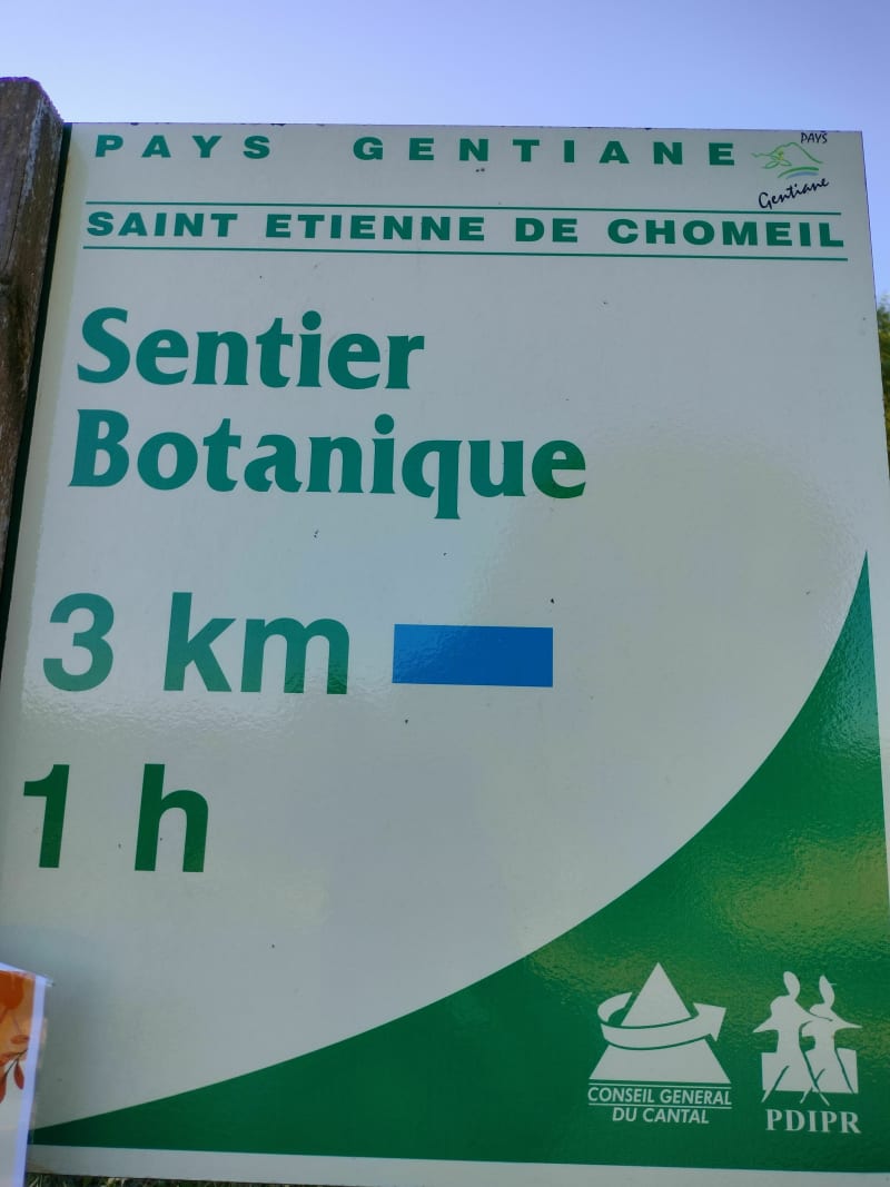 Sentier botanique de St Etienne de Chomeil au départ bourg - Saint-Étienne-de-Chomeil