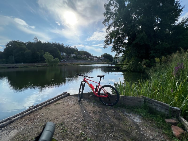 Belle balade sur l’étang de Hanau en passant par Mouterhouse - Bitche