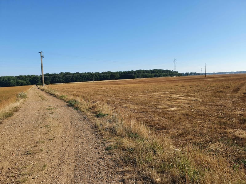 Balade entre champs et forêt - Mesnils-sur-Iton