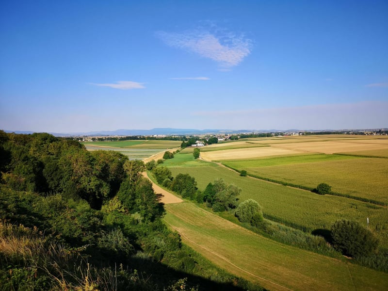 Balade de Mittelhausbergen au presbytère de Mundolsheim à VTT - Mittelhausbergen