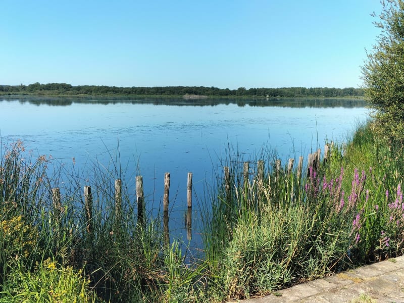 Le tour de l'étang des Landes - Lussat