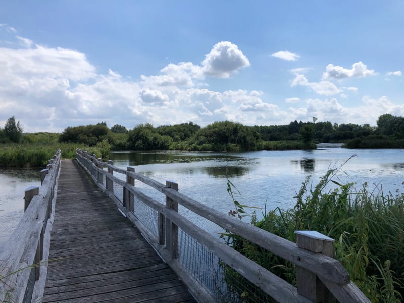 Entre canal et vieille Somme - Bourdon