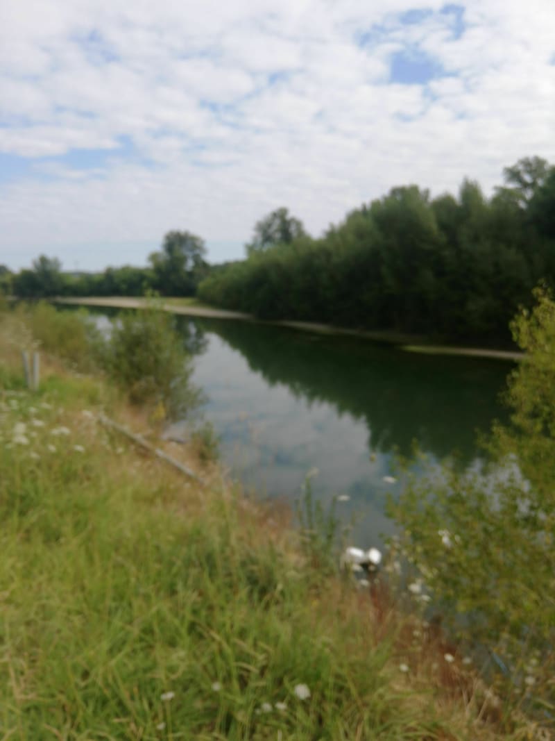 Sentier de l'Adour - Mugron
