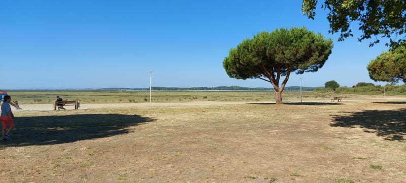 Balade entre Audenge et Arès - Audenge