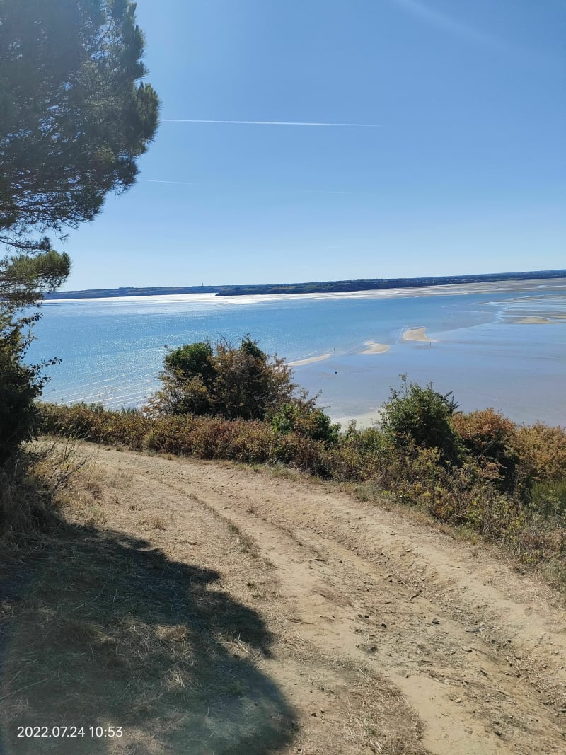 La roselière - Saint Laurent de la Mer