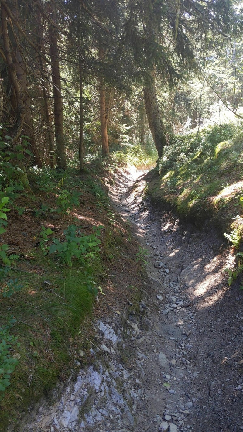 Col de Jaillet par le Plan - La Giettaz