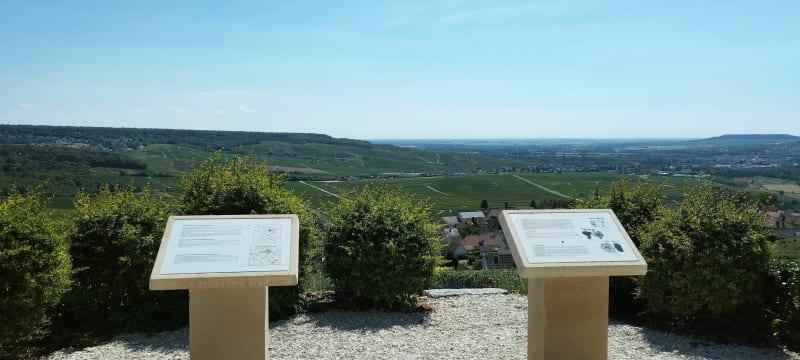 Les villages du champagne - Cumières