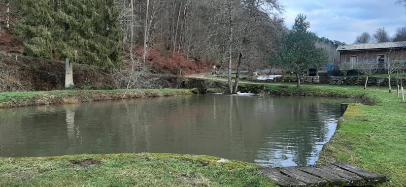 Petite balade dans les bois, de Darney ,la Craque Droiteval - Darney