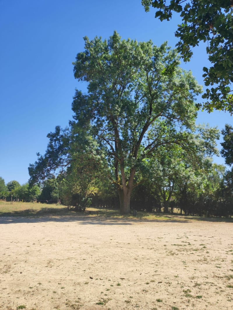 Boulevard nature autour d'Arnage - Arnage