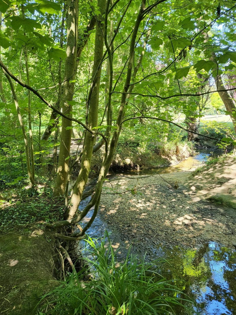 De Ozoir à Ozoir par le Morbras - Ozoir-la-Ferrière