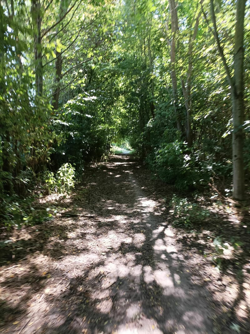 De Malo les Bains à Bergues par les chemins - Dunkerque