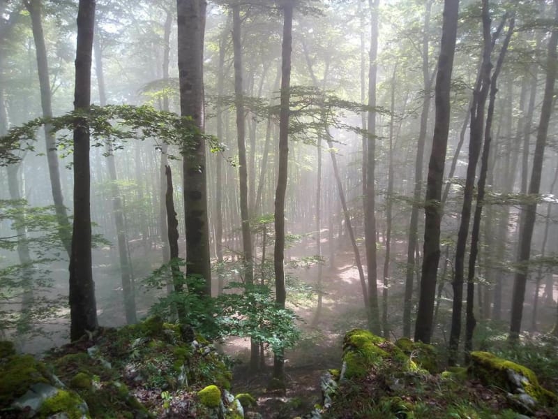 Enduro de Sourroque - Eycheil