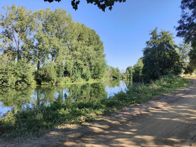 Balade dans le Marais, de Niort à Coulon - Niort