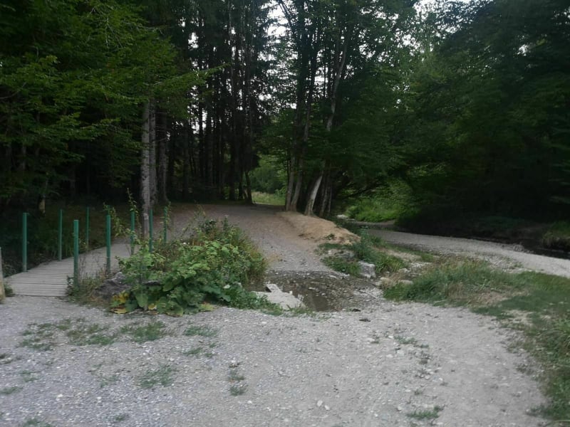 Balade dans les forêts du Chablais - Fessy