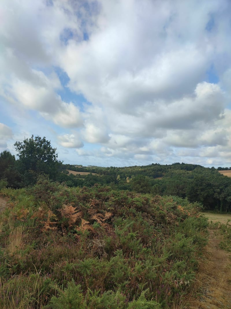 Les trois ruisseaux - Noyal-Muzillac