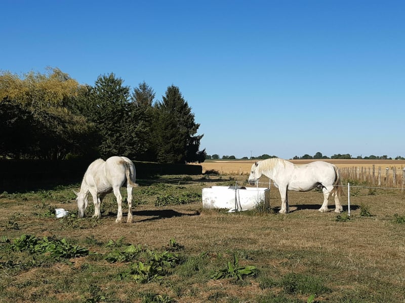 La campagne normande à vélo - Roncherolles-sur-le-Vivier