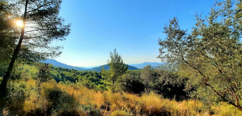 Korte wandeling op de Coudon - La Valette-du-Var