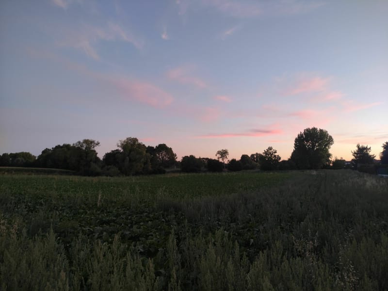 Petite balade dans le parc de Wavrin - Wavrin