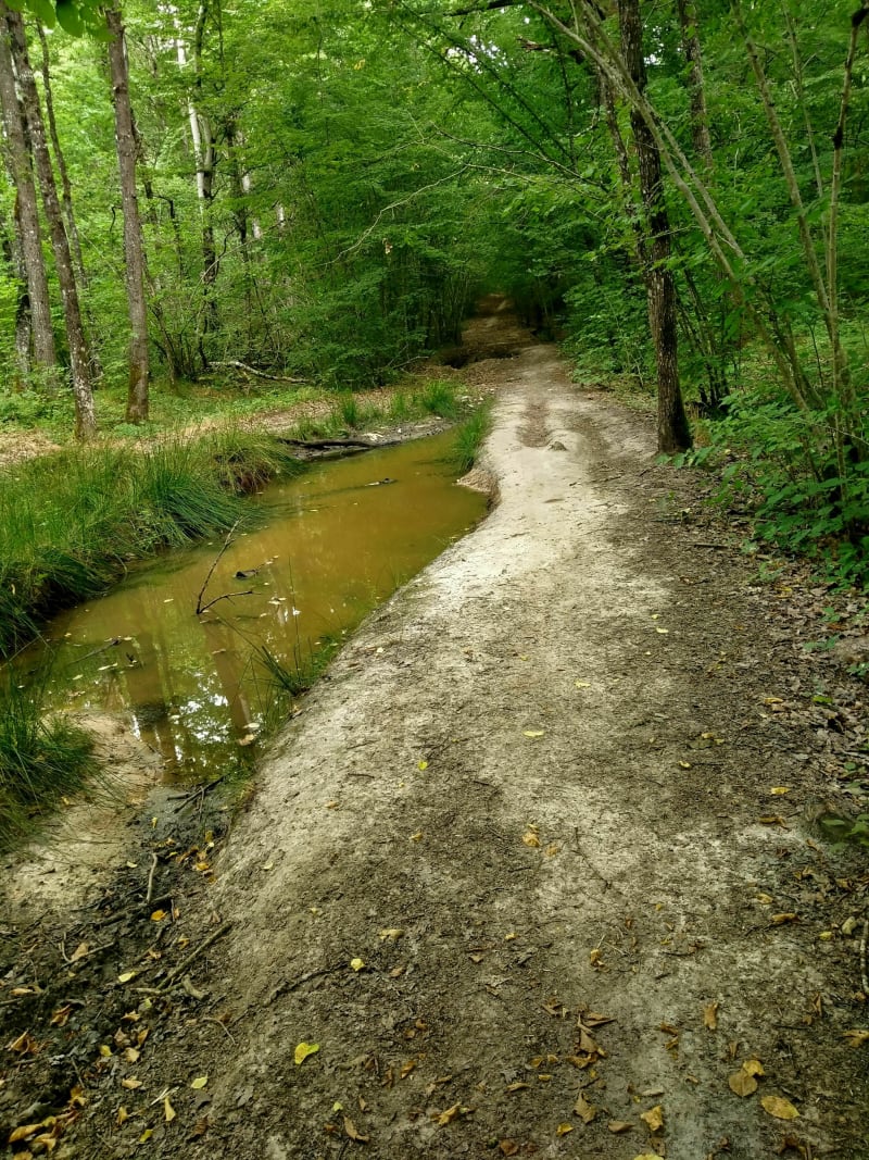 Balade VTT Chaingy,Ormes, Ingré en sous bois - Chaingy