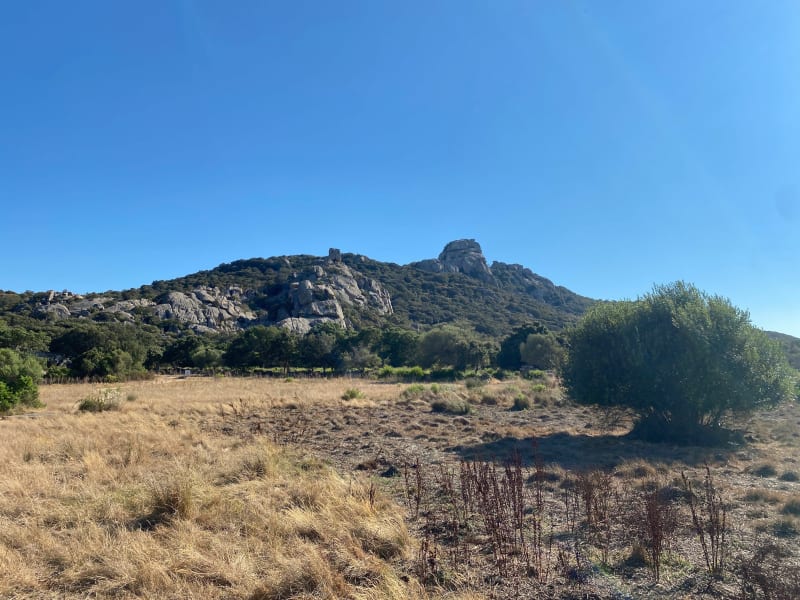 LLe site mégalithique de cauria - Sartène