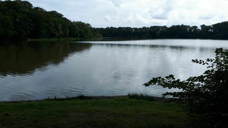 Etang de Boivinet - boucle du perche 1 - Le Plessis-Dorin