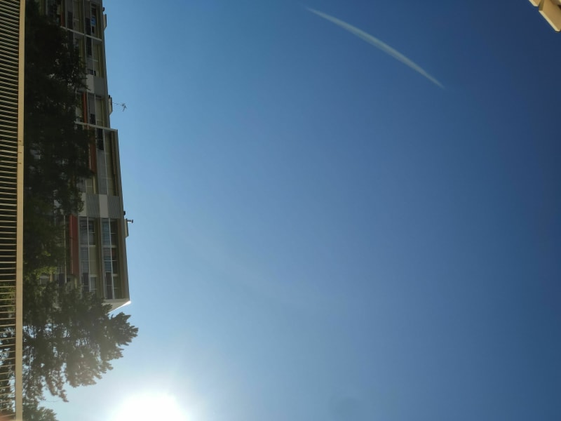De la folie sous le soleil - Lingolsheim