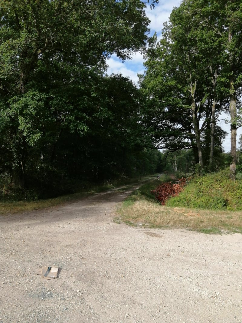 Marche nordique par le Marchais aux Prêtres - Bougy-lez-Neuville