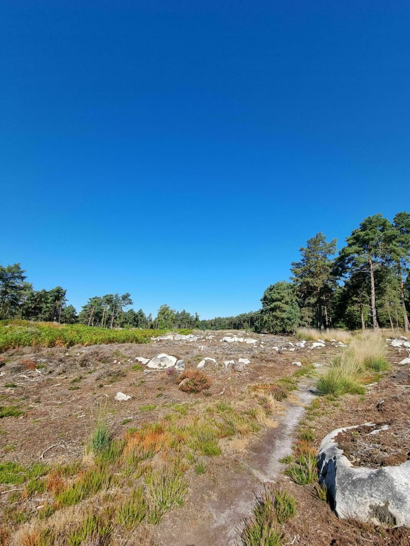 Point de vue de Hurlevent - Fontainebleau