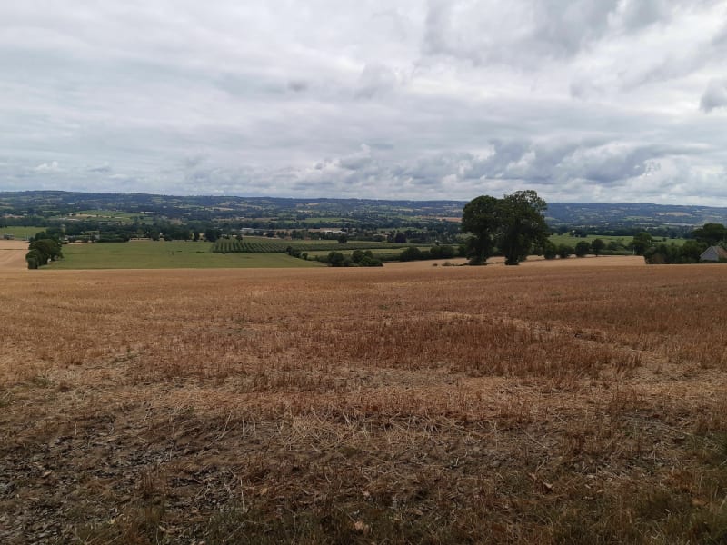 Belle balade dans les bois - Brécey