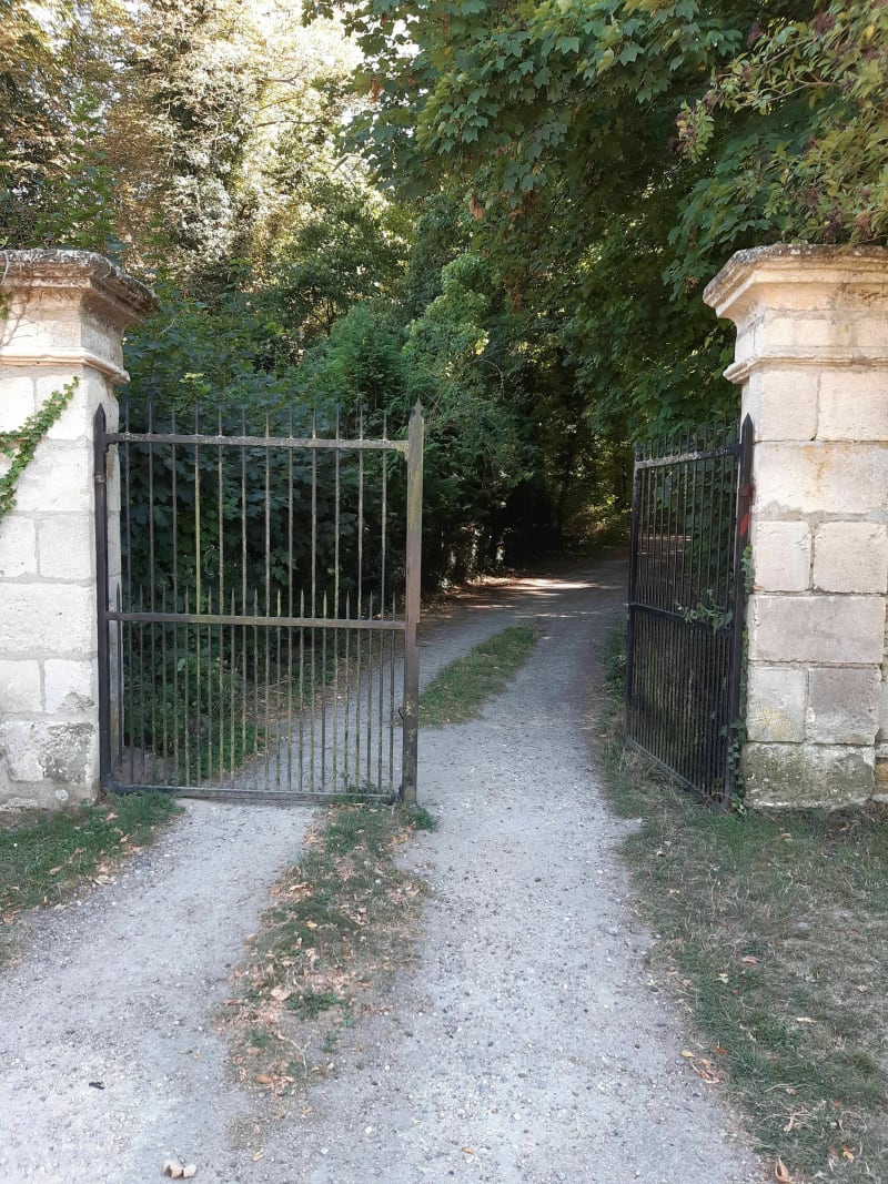 À l'ombre des arbres - Compiègne