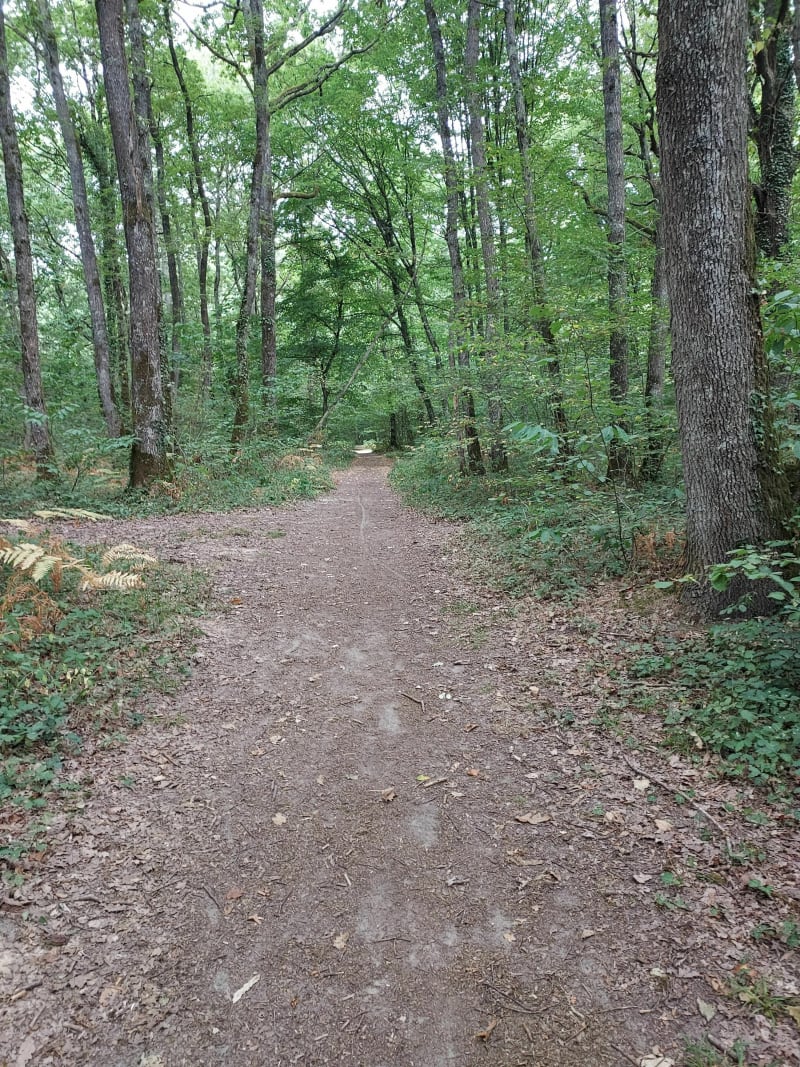 Balade dans le parc de charbonnière - Semoy