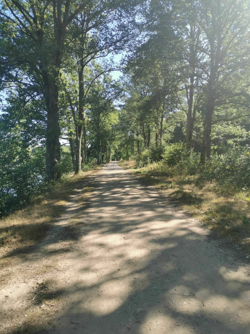 Balade au fil de l'eau le long de la Vienne - Panazol