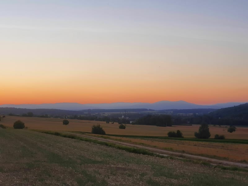 Hirsingue - Hirtzbach : champs, forêt et coucher de soleil - Hirtzbach