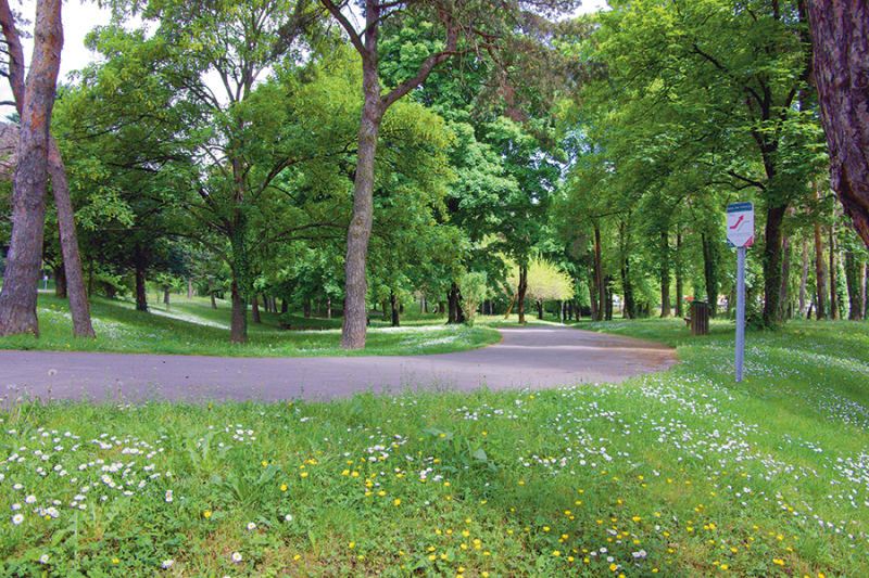 Parc de Parilly (Vénissieux) et bois de Feuilly (St Priest) - Vénissieux