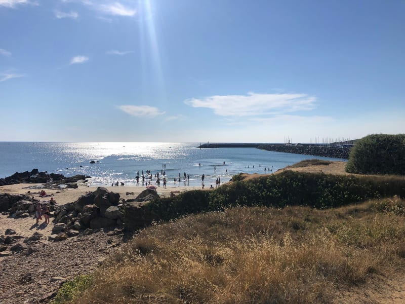 De port Bourgenay à la plage du Veillon par les sentiers - Querry Pigeon