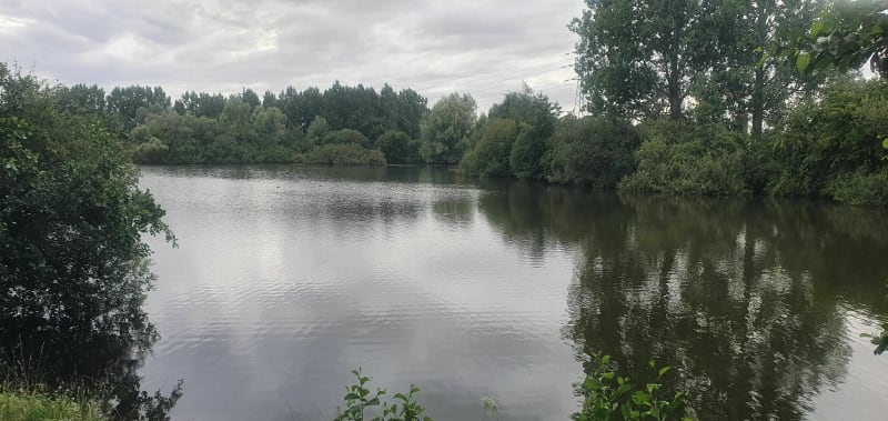 Etangs fédéral des Ballastières aire sur la Lys - Aire-sur-la-Lys