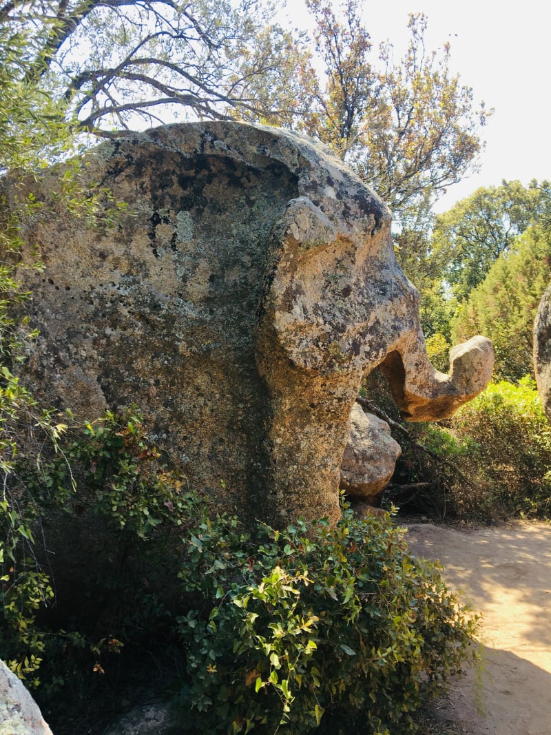 Sentier du patrimoine de Monacia-d’Aullène - Monacia-d'Aullène