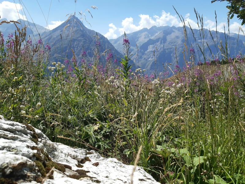 Les Deux-Alpes, les crêtes et le diable - Les Deux Alpes