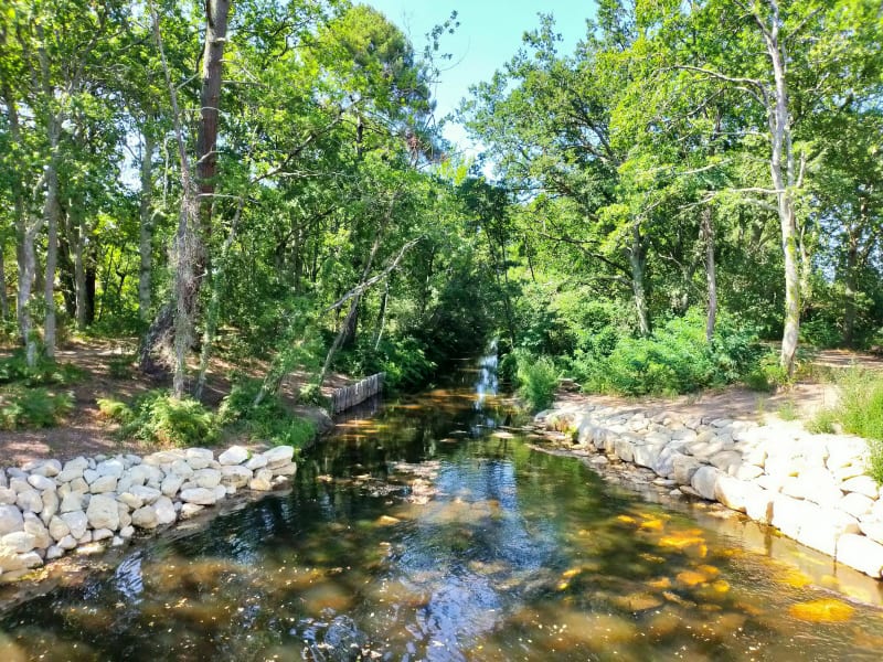 Canal Gujan Mestras - Gujan-Mestras