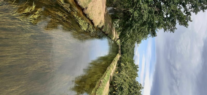 Loire et canal à Saint Cyprien. - Saint-Cyprien