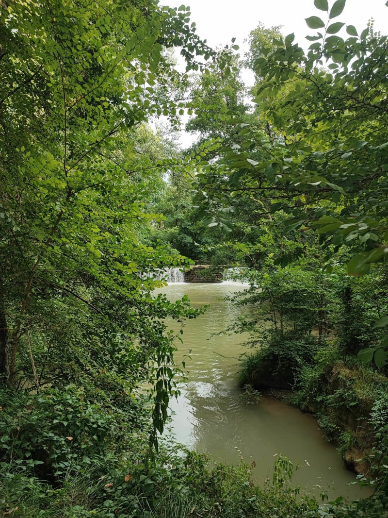 Petite balade Berges Auterive - Auterive