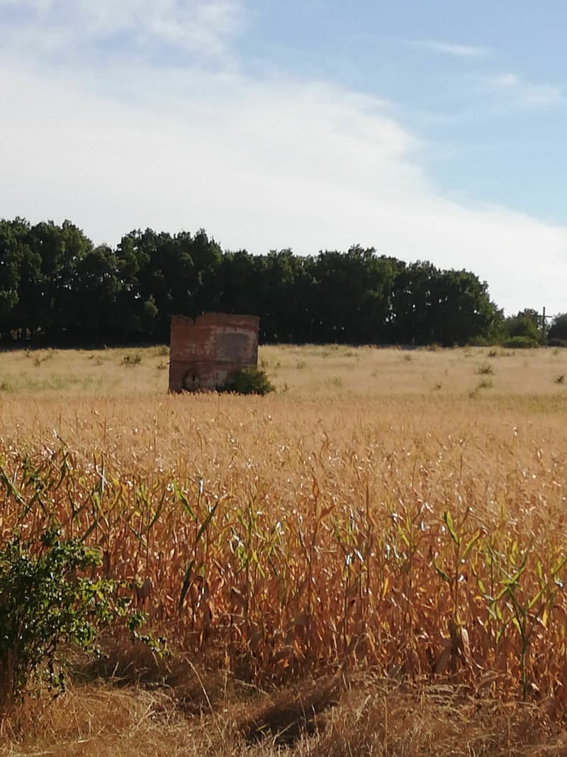 P'tit balade avec enfant de 5 ans - Merville