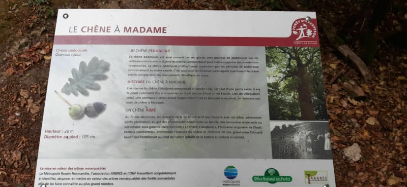 De Oissel au Chêne à Madame - Oissel
