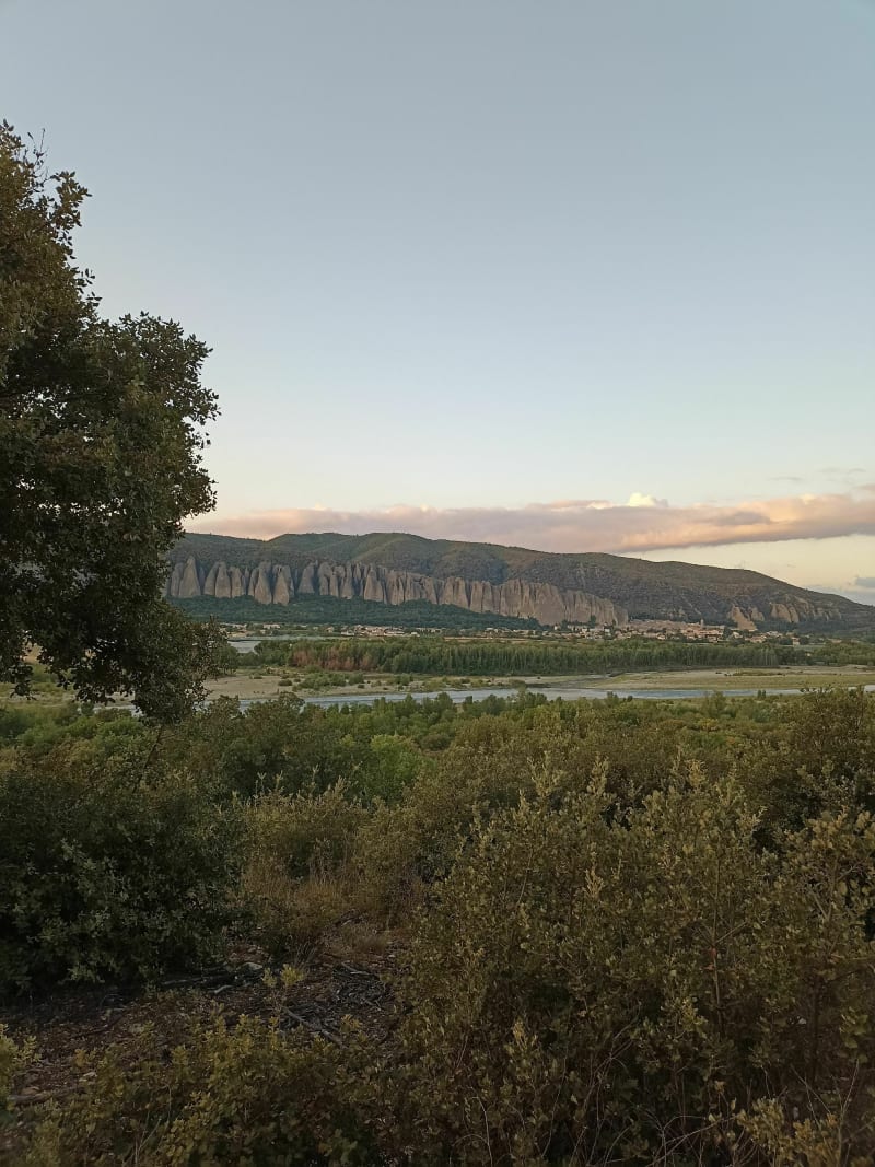 Les Alexis - Montfort