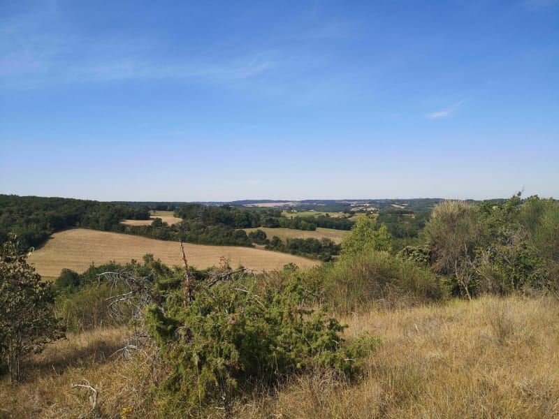Chemin de l'eau et Bois de Caudeval - Guitalens-l'Albarède